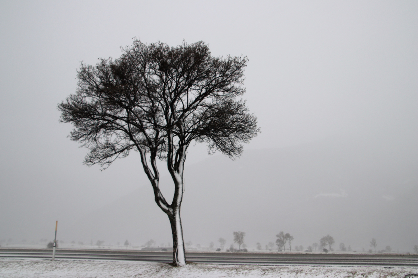 Winter Farbfoto