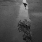 Winter - Fazit