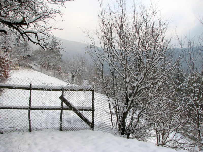 winter fence