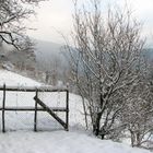 winter fence