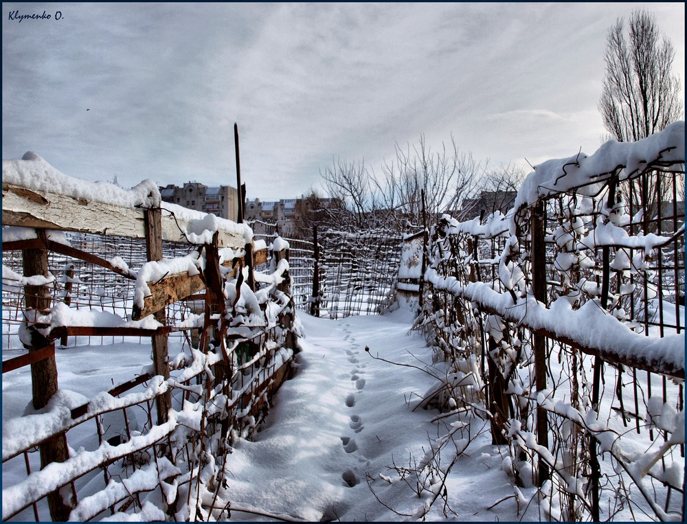 Winter fence,,,