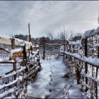 Winter fence,,,