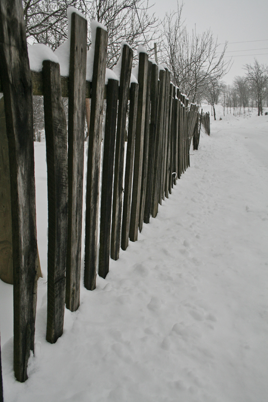 winter fencing