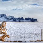 Winter fields