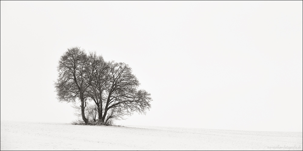 Winter FineArt #19