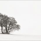 Winter FineArt #19