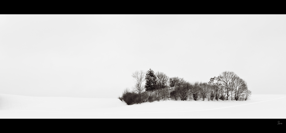 Winter FineArt #2