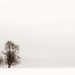 Winter FineArt