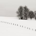 Winter FineArt #6