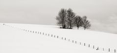 Winter FineArt #6