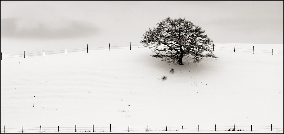 Winter FineArt #9