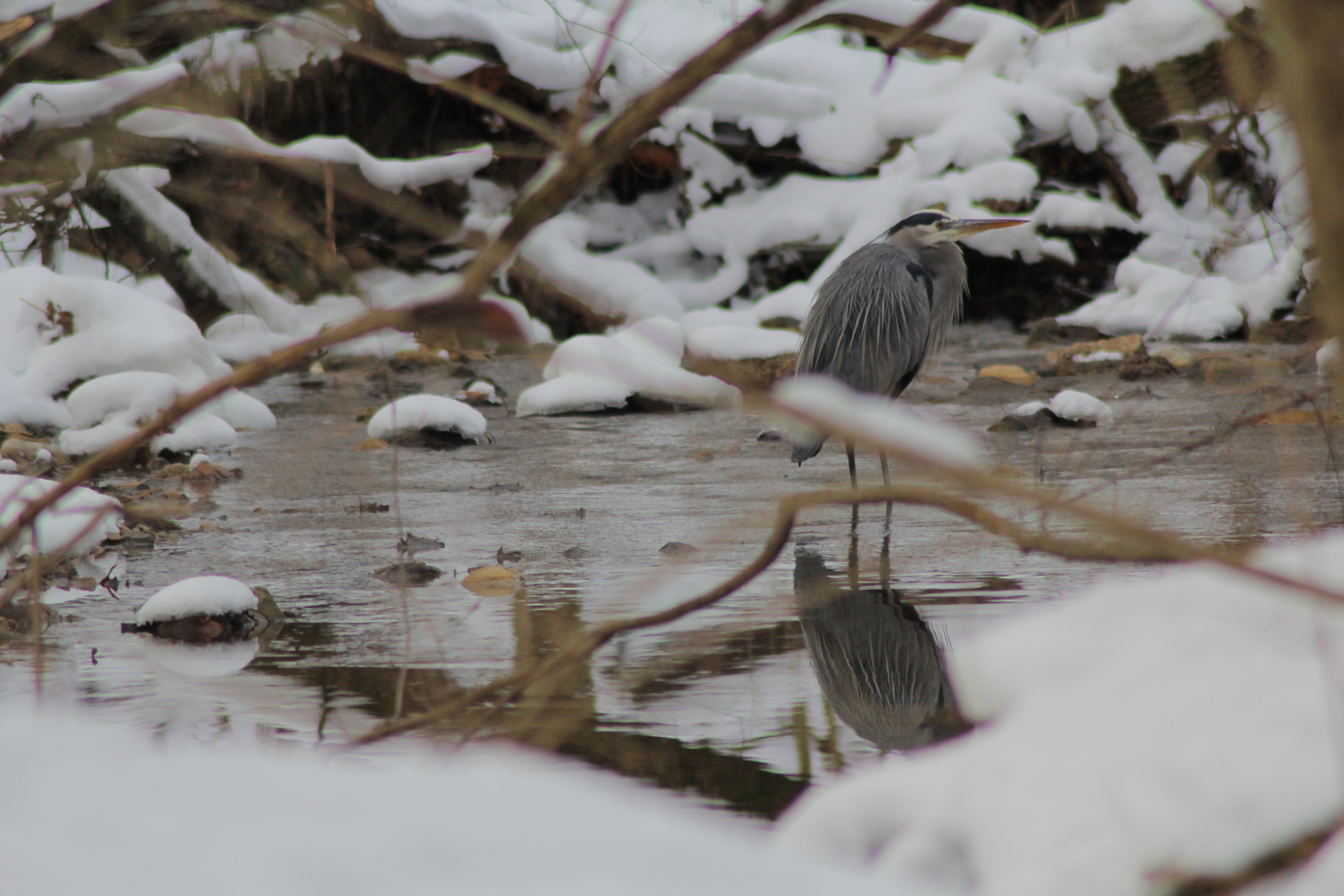 Winter Fishing