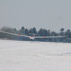 Winter flight