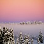 winter fog