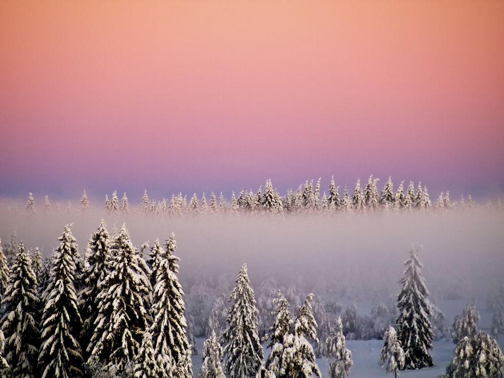 winter fog von Jörg Klüber 