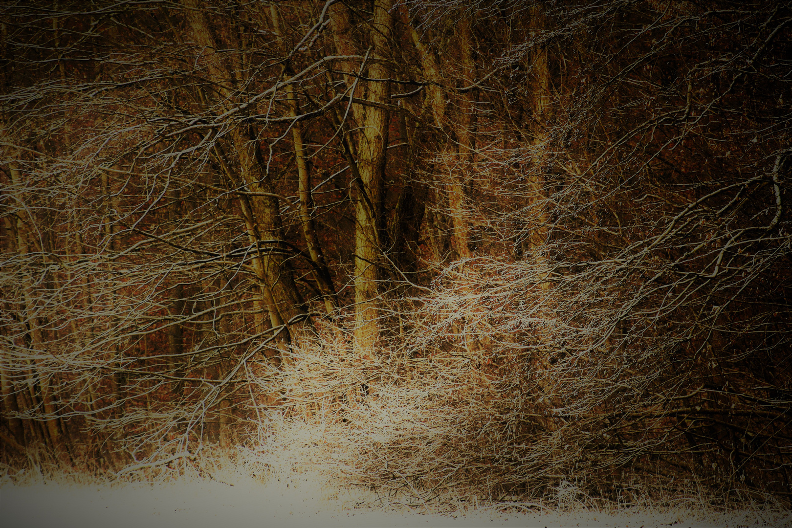 Winter Fotos aus der Natur 1