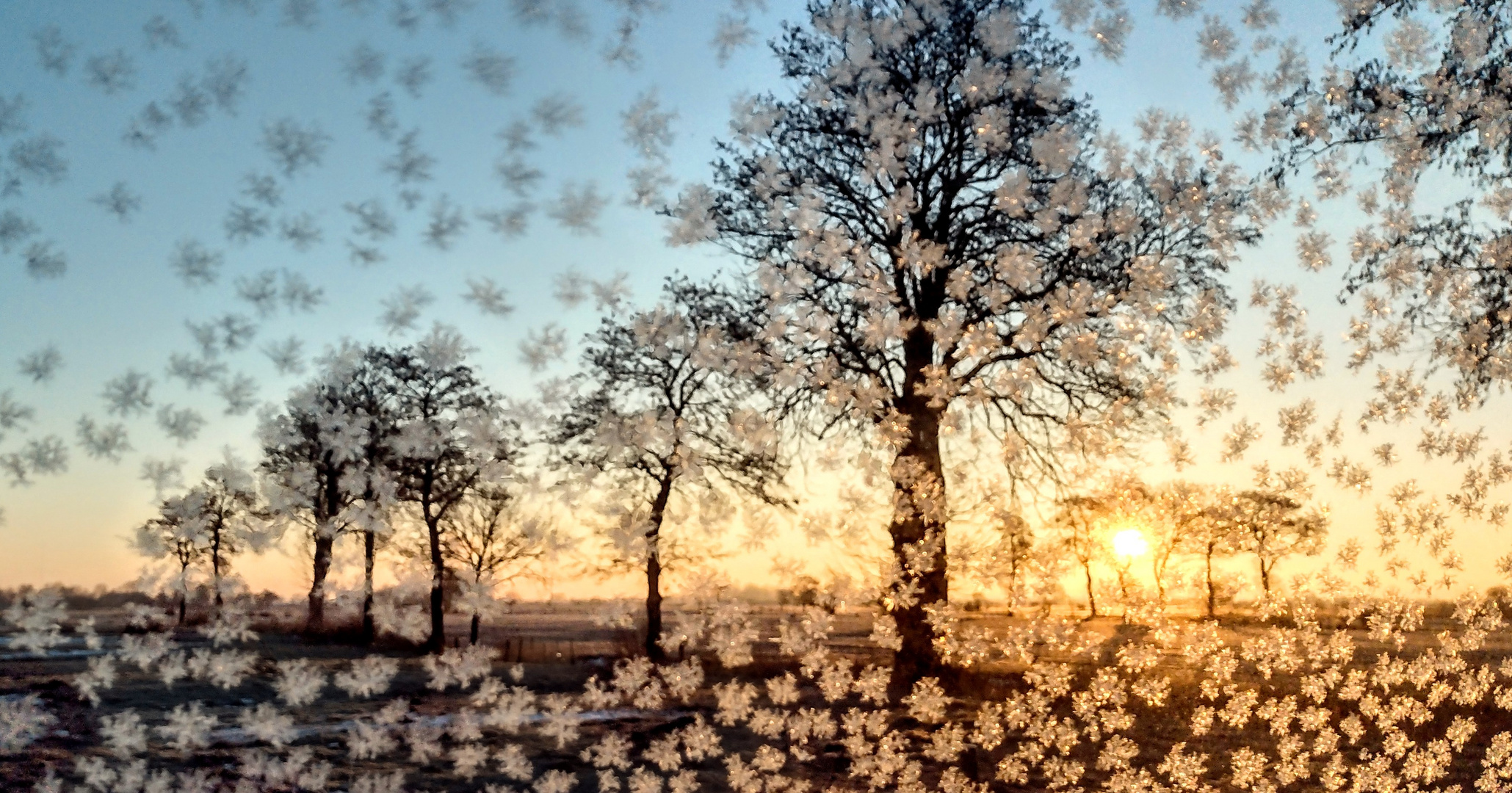 Winter Friesland