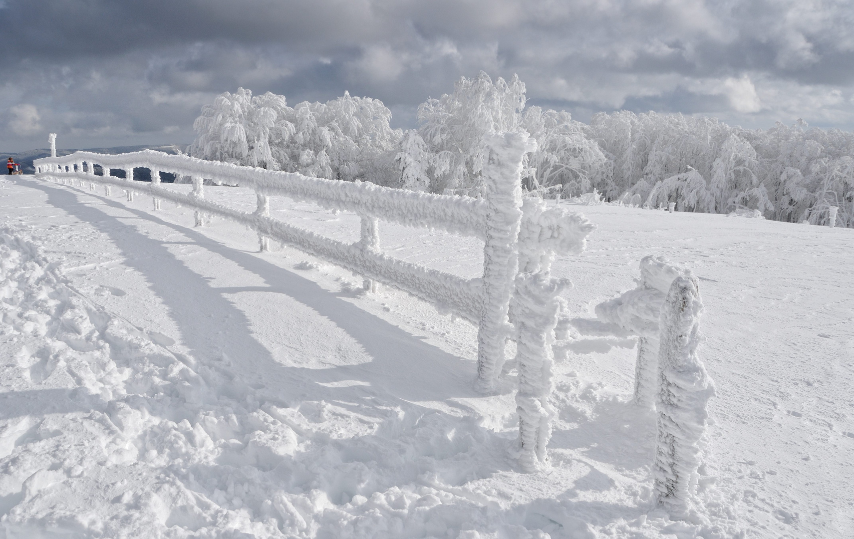 winter frost