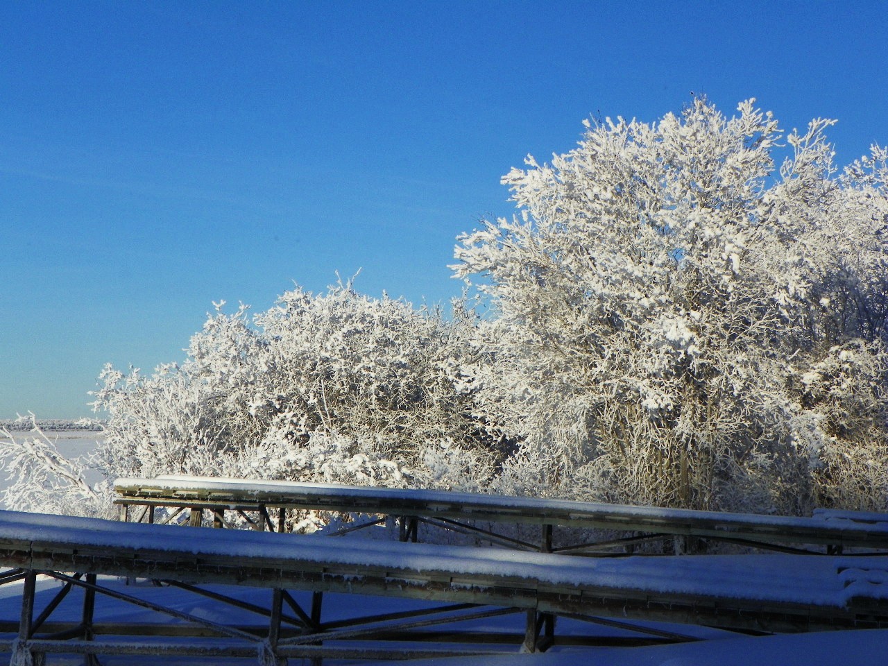 winter frost by the shore......