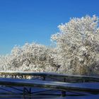 winter frost by the shore......