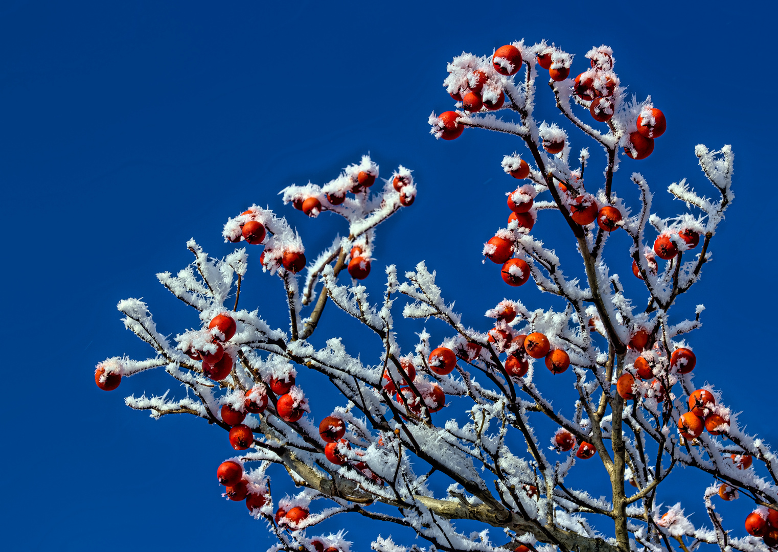 Winter, früher