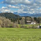 Winter - Frühling