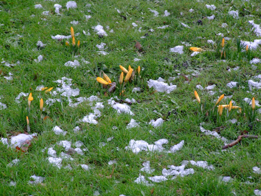 Winter ? Frühling lässt grüssen wir freuen uns schon .