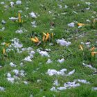 Winter ? Frühling lässt grüssen wir freuen uns schon .