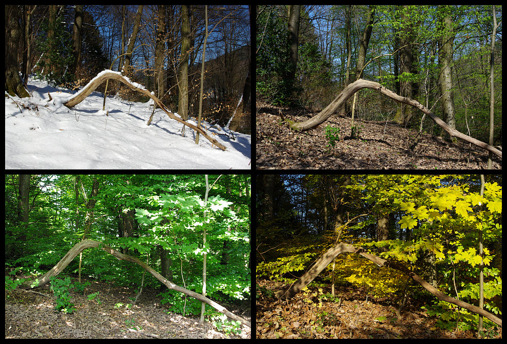 Winter Fruhling Sommer Herbst Foto Bild Jahreszeiten Herbst Natur Bilder Auf Fotocommunity