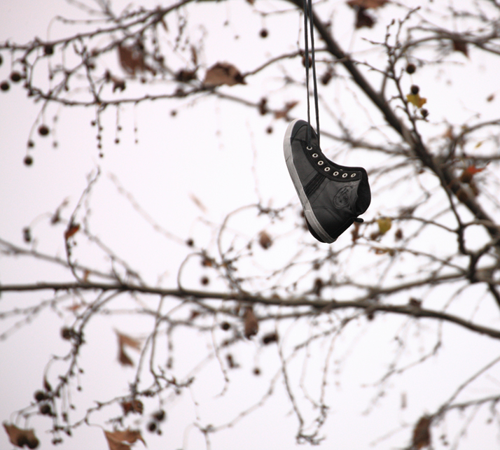 Winter fruits