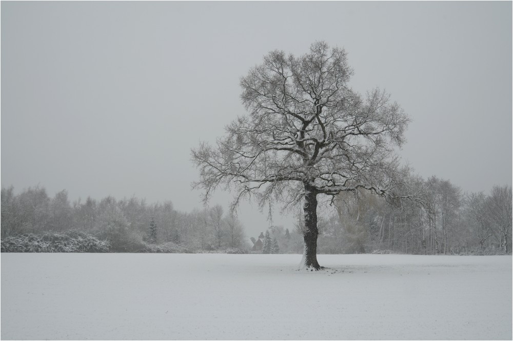 Winter für einen Tag