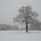 Winter für einen Tag