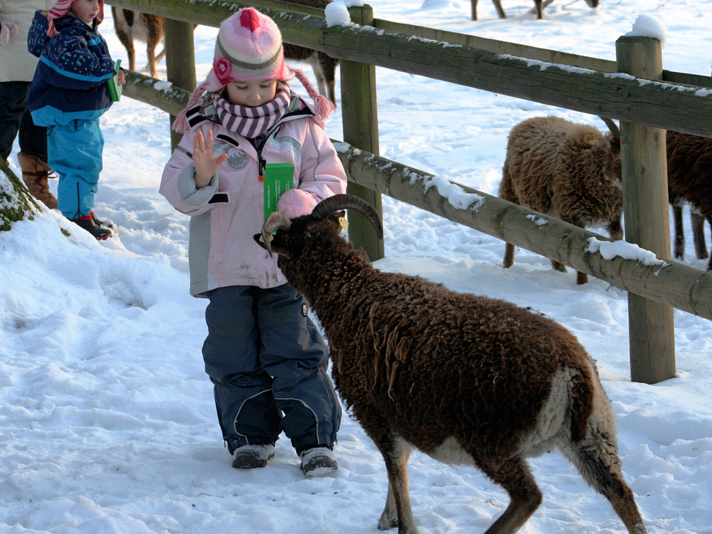 Winter-Fütterung