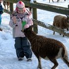 Winter-Fütterung