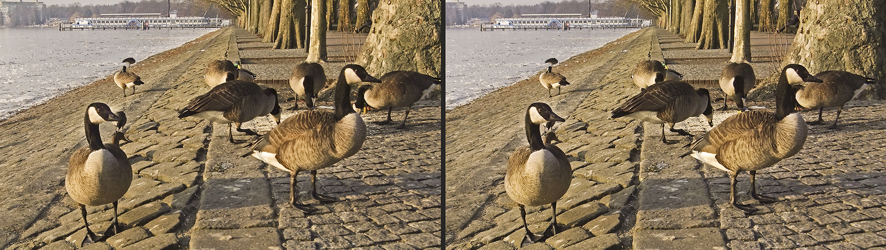 Winter Futterplatz (SBS 3D)