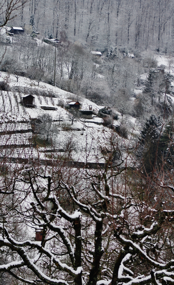 Winter Gärten