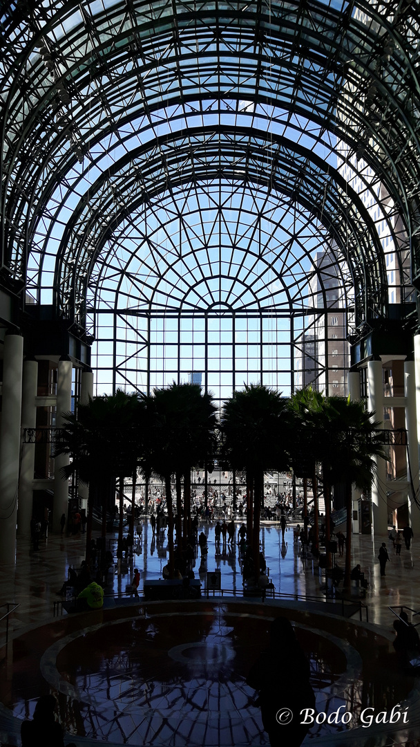 Winter Garden Atrium