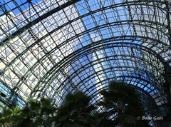 Winter Garden Atrium