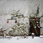 Winter garden detail.