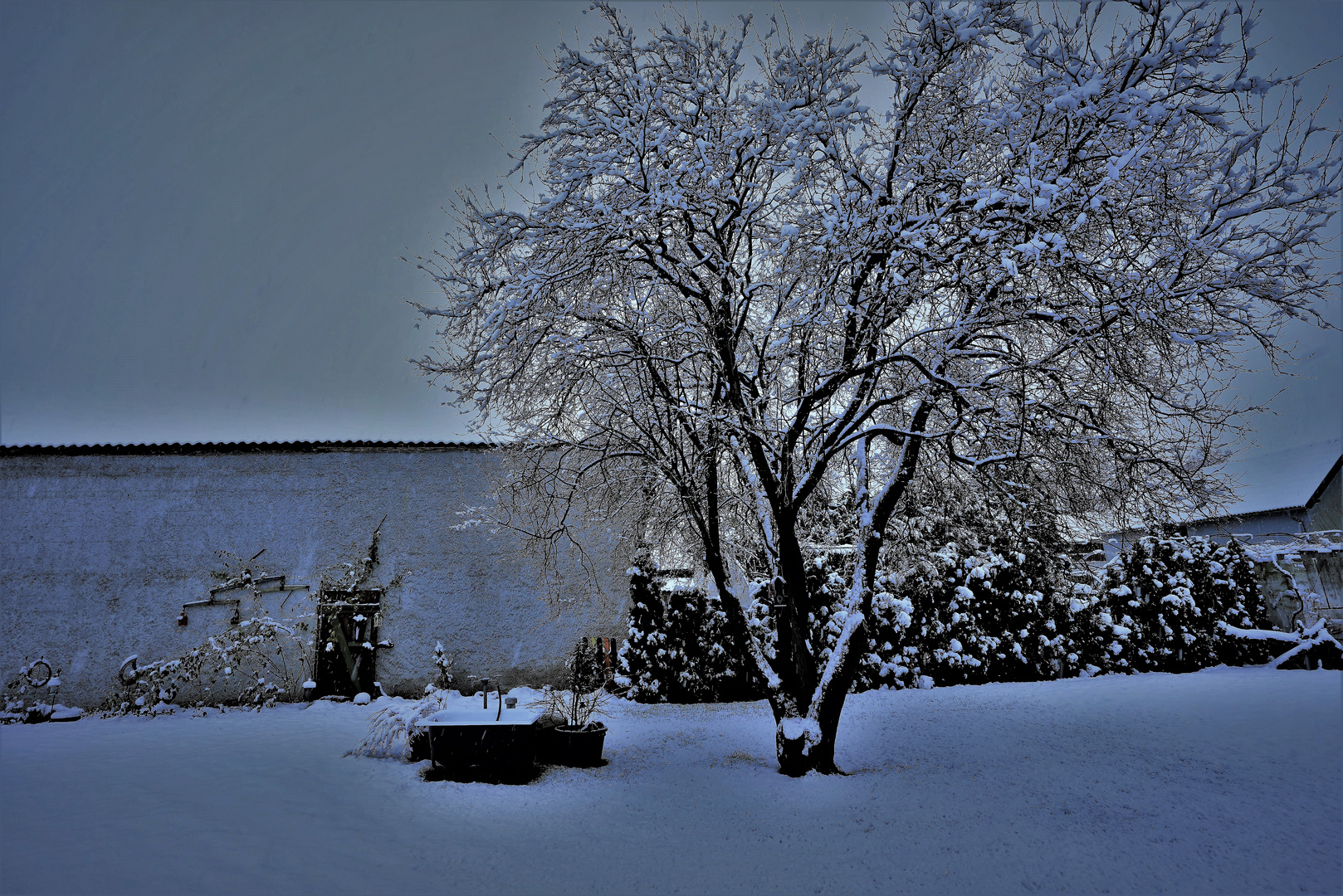 Winter garden impressions.