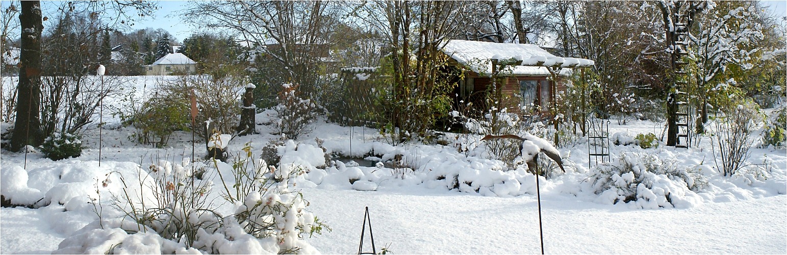 Winter - Garten