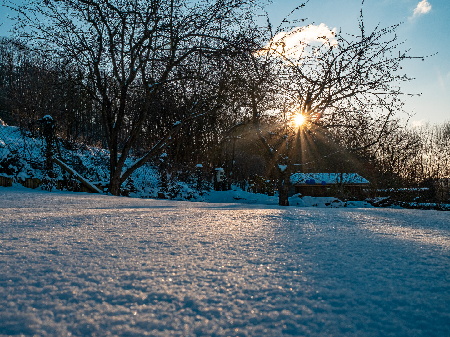 Winter-Garten