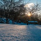 Winter-Garten