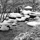 Winter-Garten