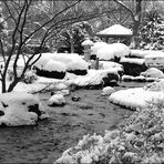 Winter-Garten