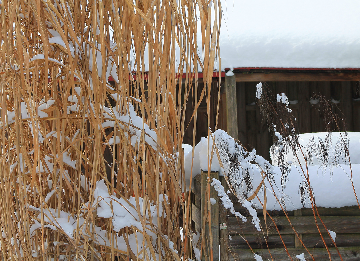 Winter-Garten