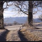 Winter Gate