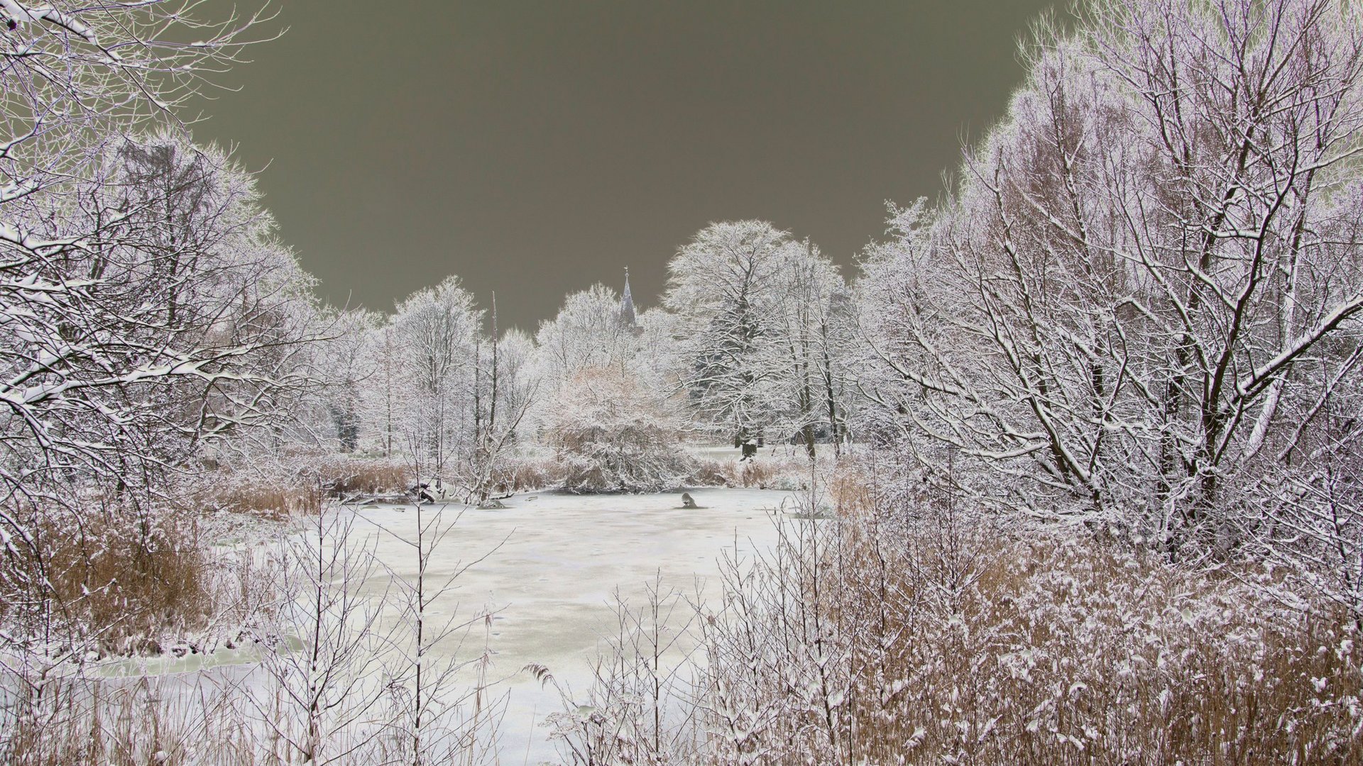 Winter "gedreht"