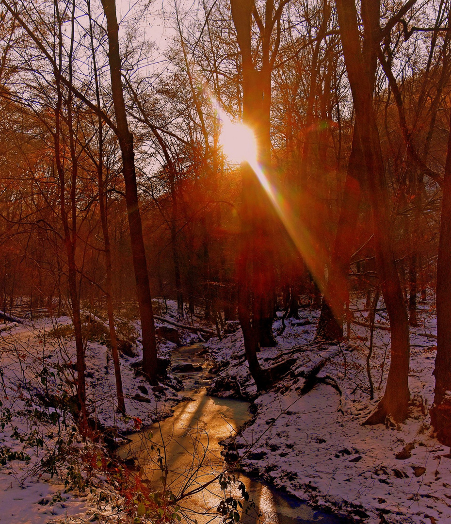 Winter Gegenlicht