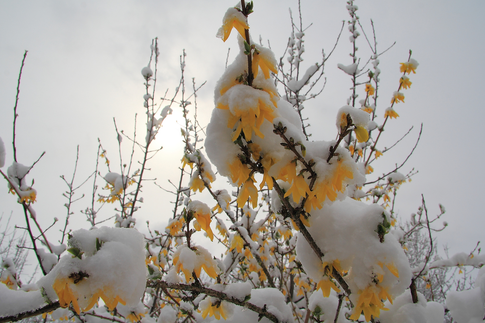 Winter geht.....Frühling kommt